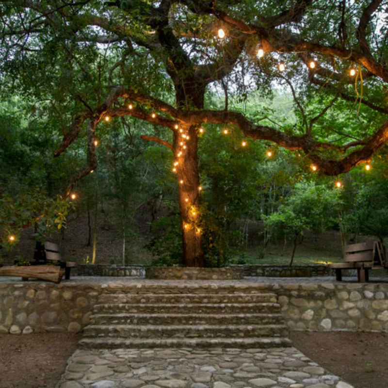 Conéctate con la naturaleza